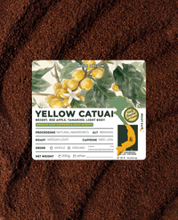 YELLOW CATUAI | 100% VNM Arabica
