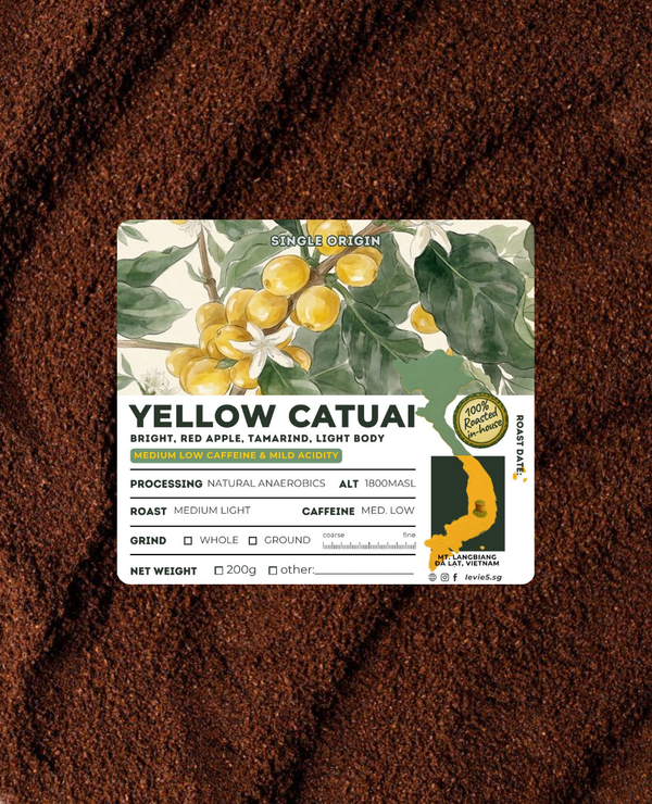 YELLOW CATUAI | 100% VNM Arabica